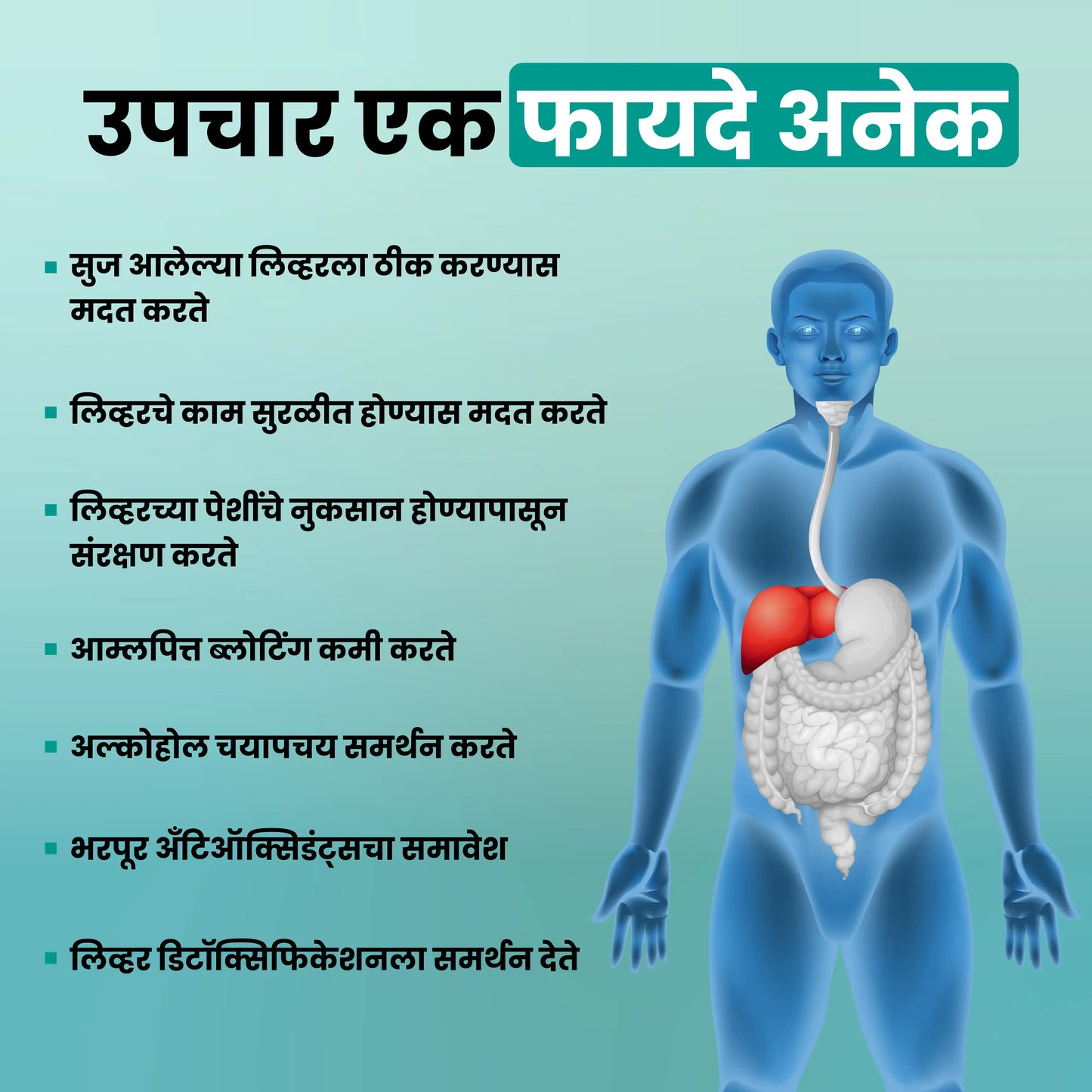 फॅटी लिव्हरला काही आठवड्यांत निरोप द्या आहार चार्ट + डॉक्टरांचा सल्ला (विनामूल्य)